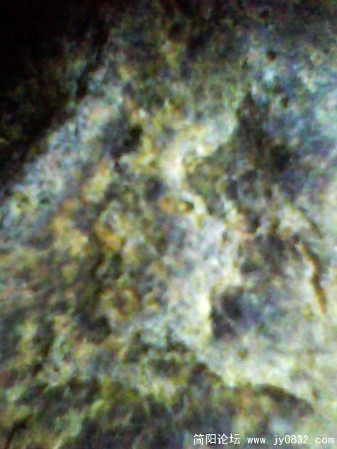 IMG0983A.jpg