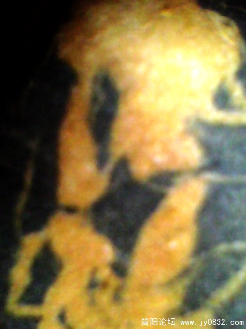 IMG0990A.jpg