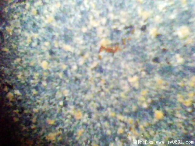 IMG0980A.jpg