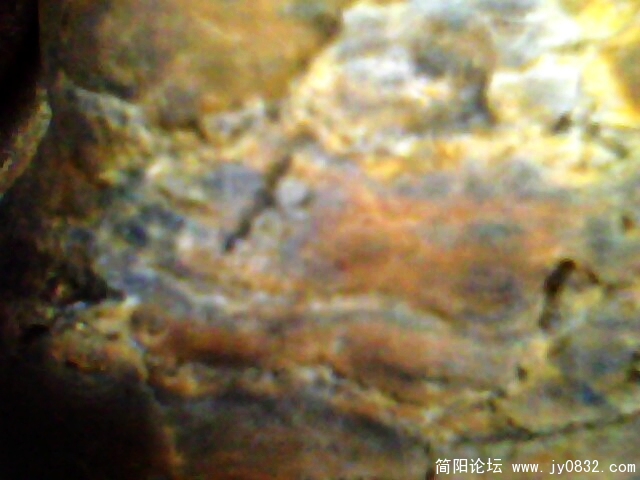 IMG0975A.jpg