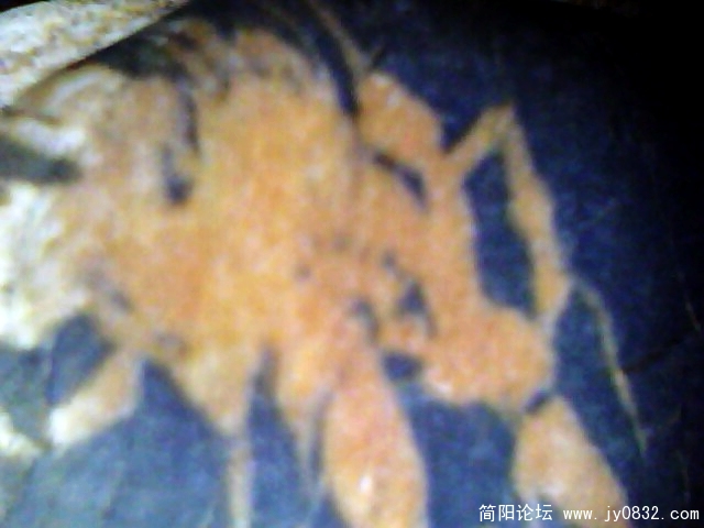 IMG0991A.jpg