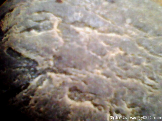 IMG0973A.jpg