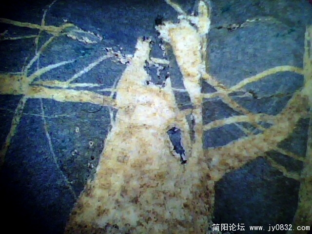 IMG0958A.jpg