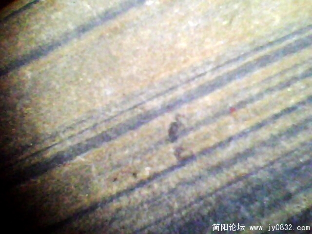 IMG0997A.jpg