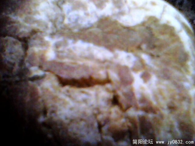 IMG0979A.jpg