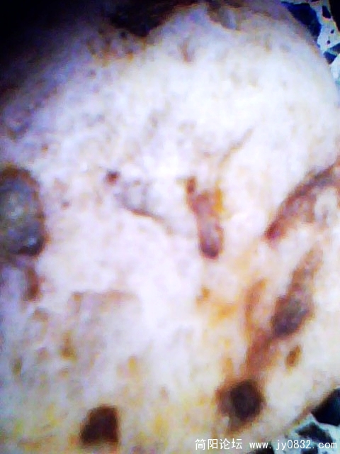 IMG0956A.jpg