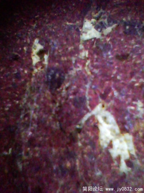 IMG0984A.jpg