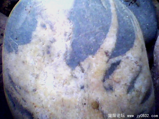 IMG0255A.jpg