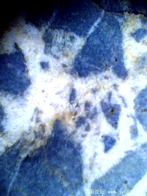 IMG0385A.jpg