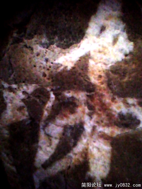 IMG0342A.jpg