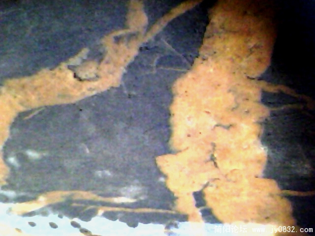 IMG0401A.jpg