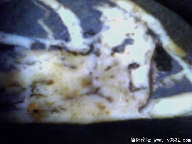 IMG0402A.jpg