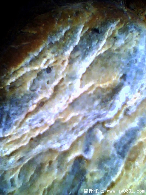 IMG0437A.jpg