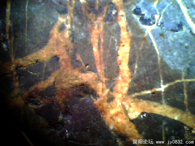 IMG0201A.jpg