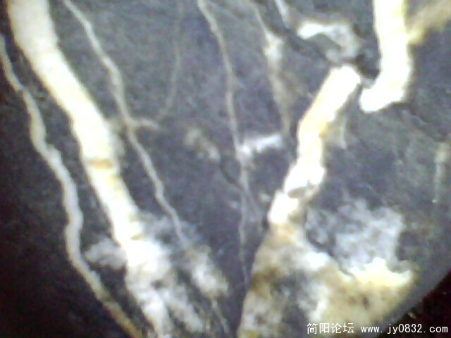 IMG0202A.jpg