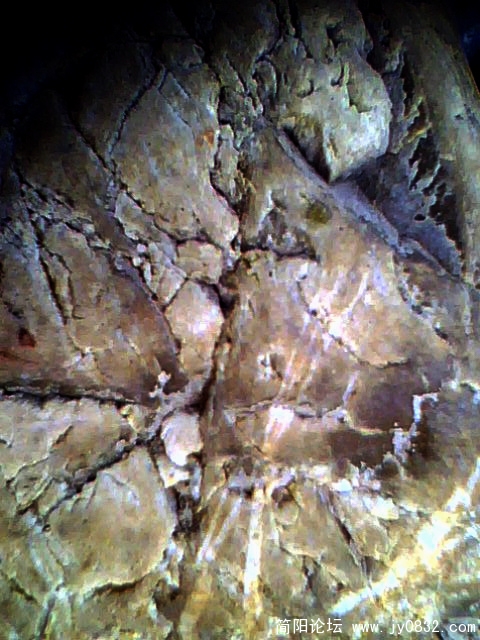IMG0442A.jpg