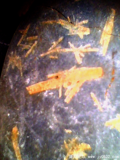 IMG0413A.jpg