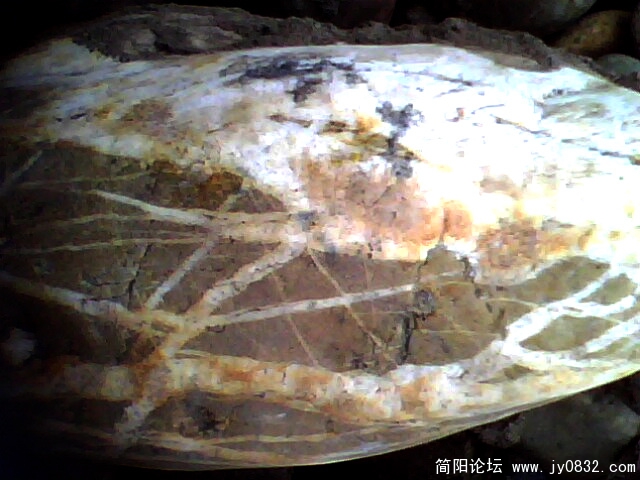 IMG0207A.jpg
