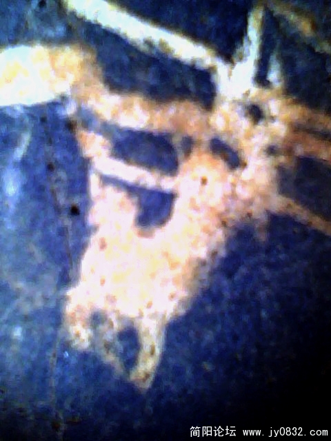 IMG0408A.jpg