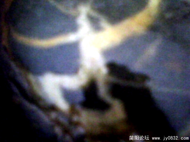 IMG0393A.jpg