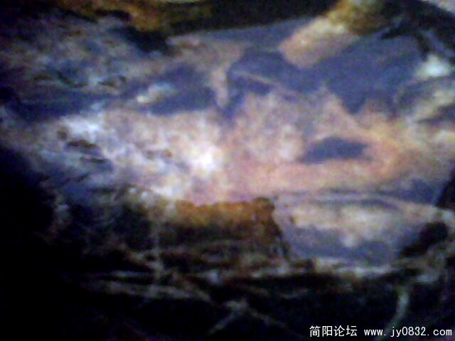 IMG0398A.jpg