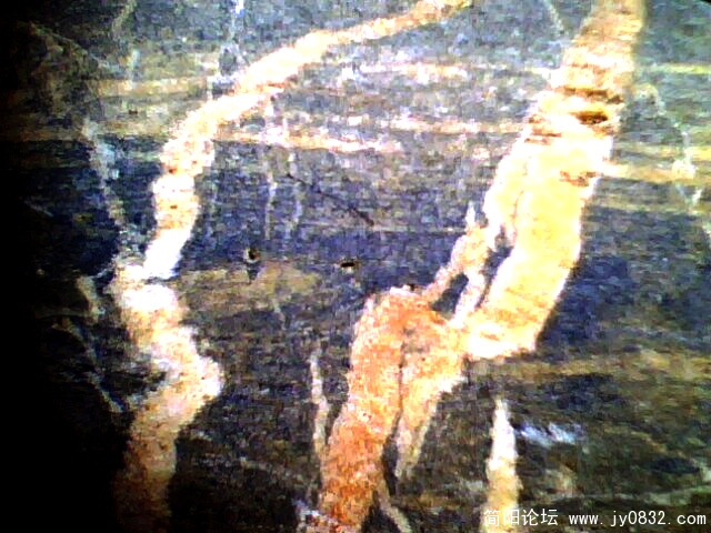IMG0216A.jpg