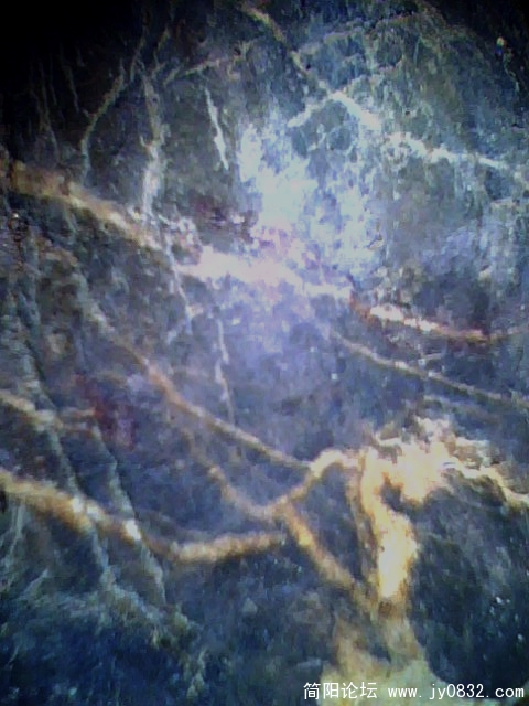 IMG0430A.jpg