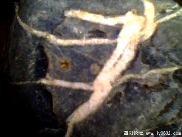 IMG0461A.jpg