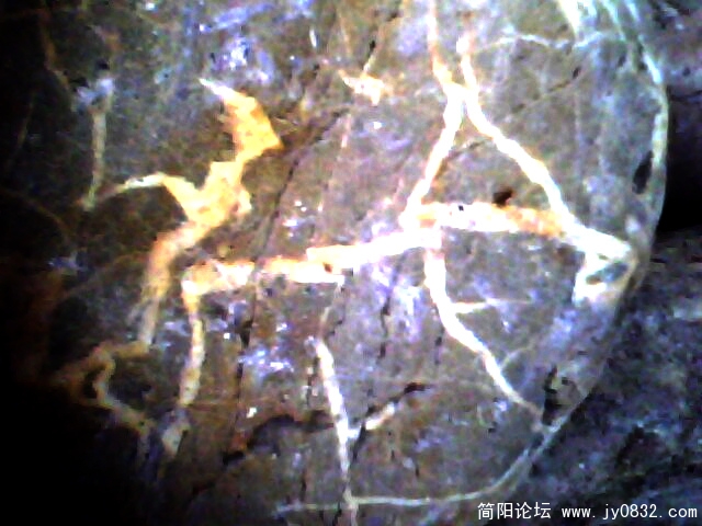 IMG0335A.jpg