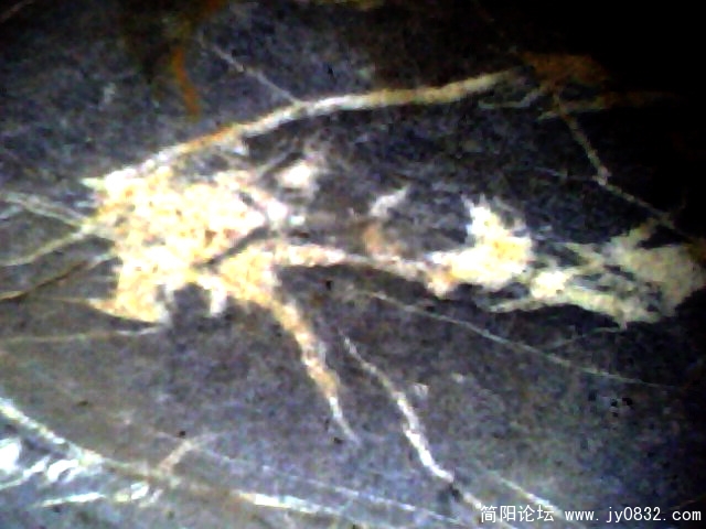 IMG0210A.jpg