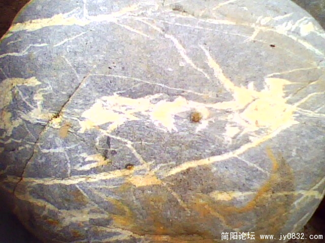 IMG0247A.jpg