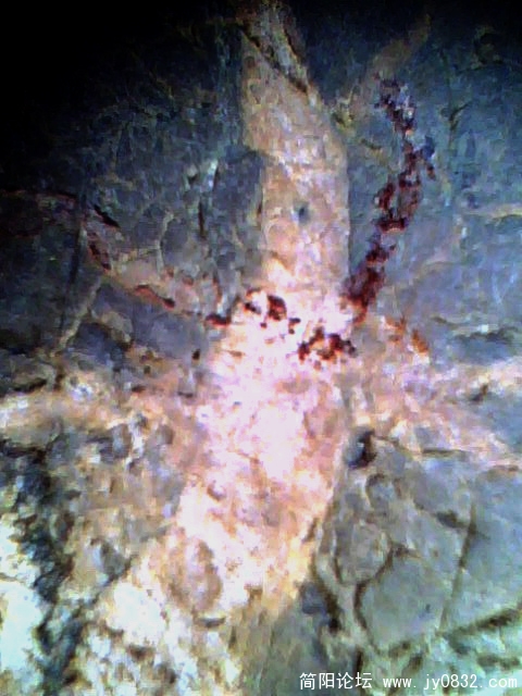 IMG0422A.jpg