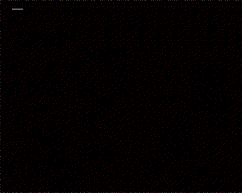 未命名.gif