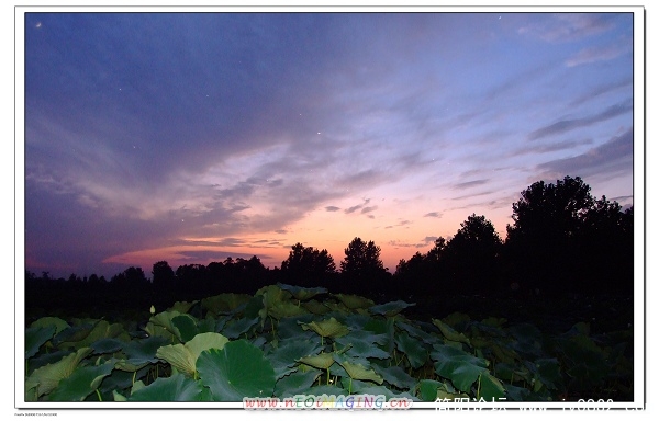 DSCF8058h.jpg
