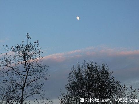 DSCF3890aa.jpg