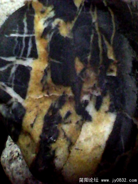 IMG0482A.jpg