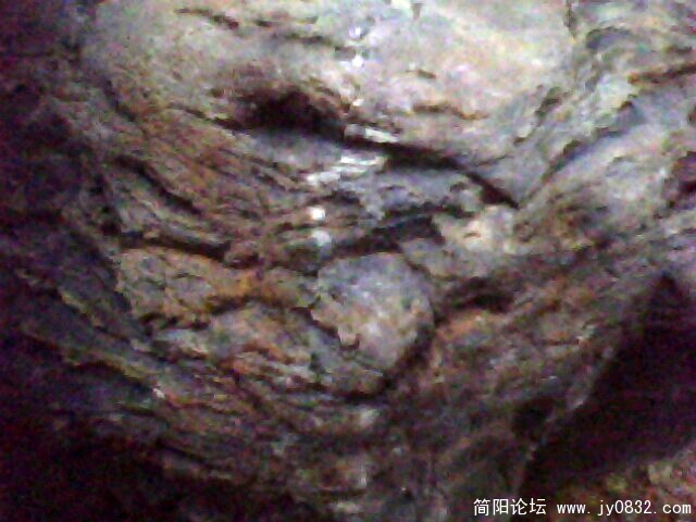 IMG0484A.jpg