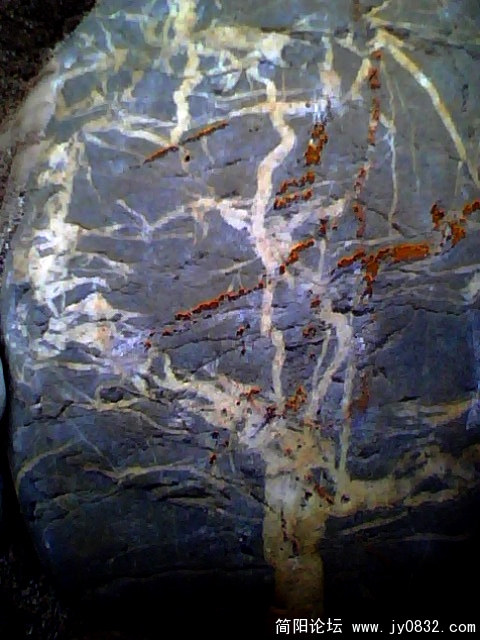 IMG0469A.jpg