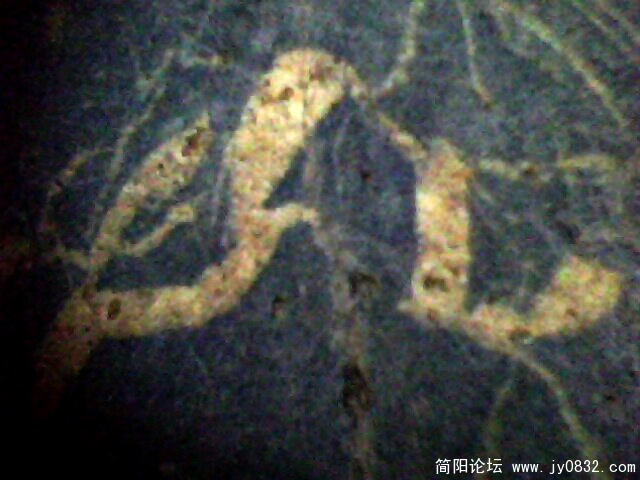 IMG0487A.jpg