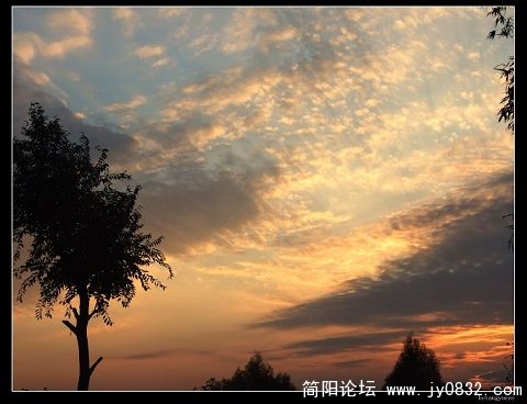 DSCF3888aa.jpg