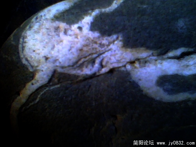 IMG0503A.jpg