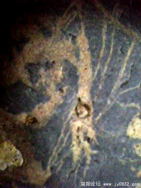 IMG0488A.jpg
