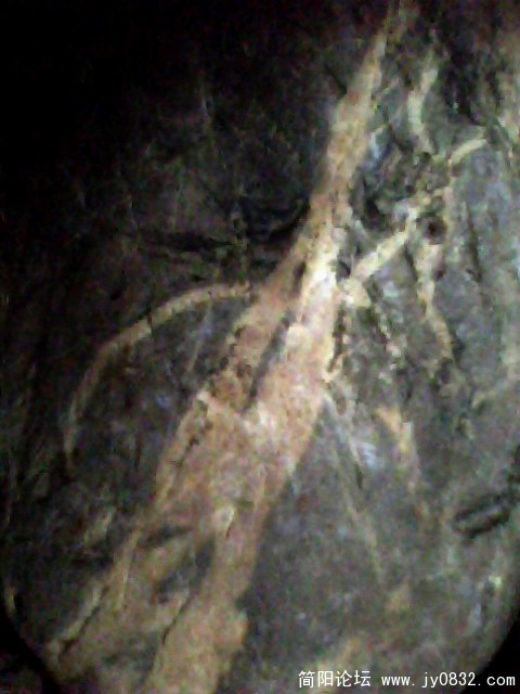 IMG0483A.jpg