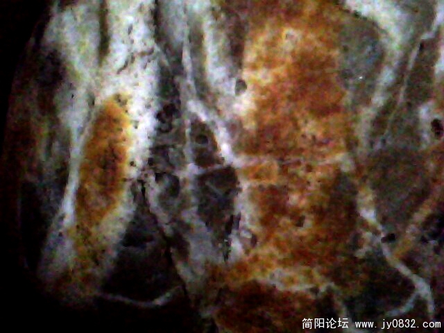 IMG0489A.jpg
