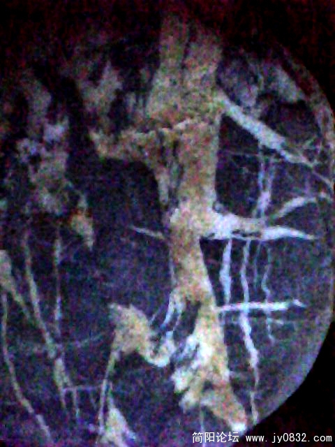 IMG0490A.jpg