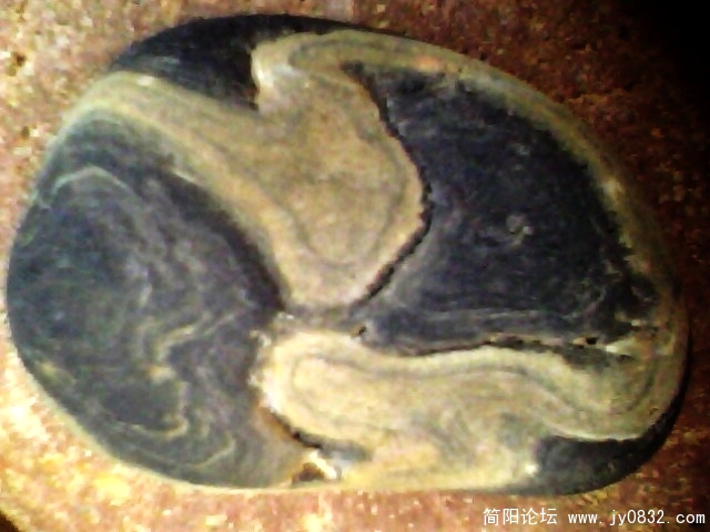 IMG0800A.jpg