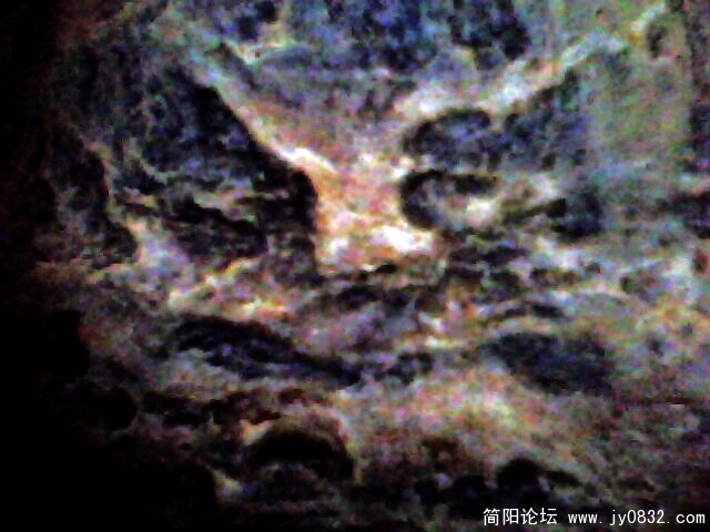IMG0860A.jpg