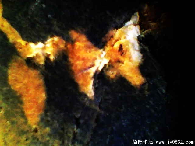 IMG0795A.jpg
