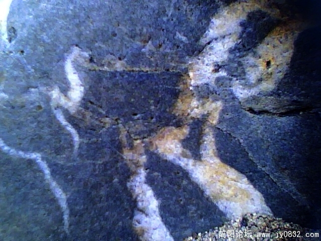 IMG0749A.jpg