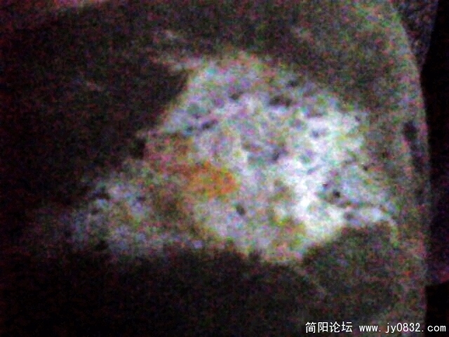 IMG0865A.jpg
